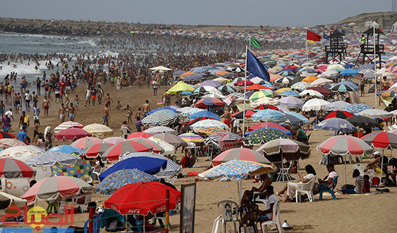 صورة المقالة