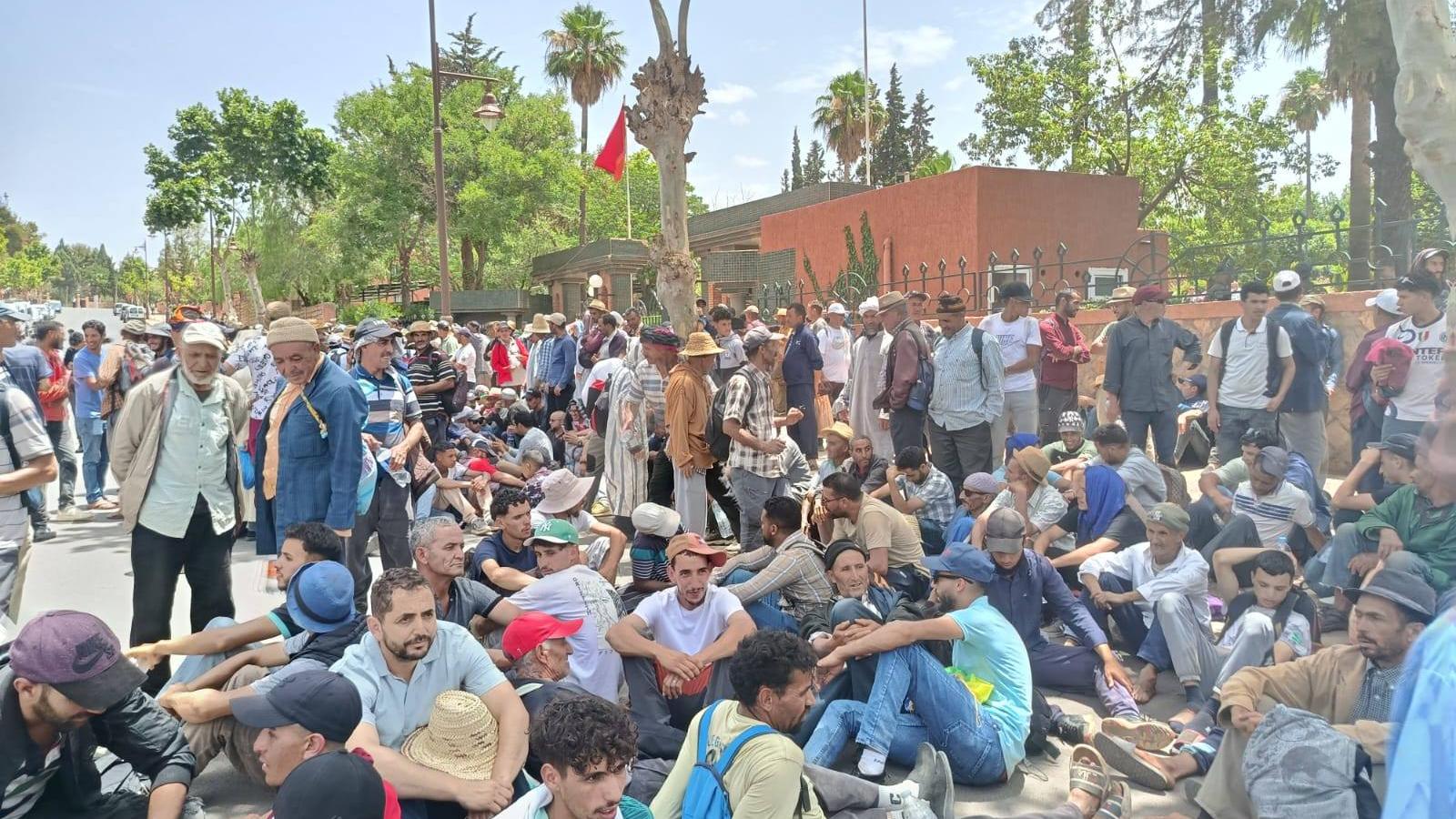 صورة المقالة