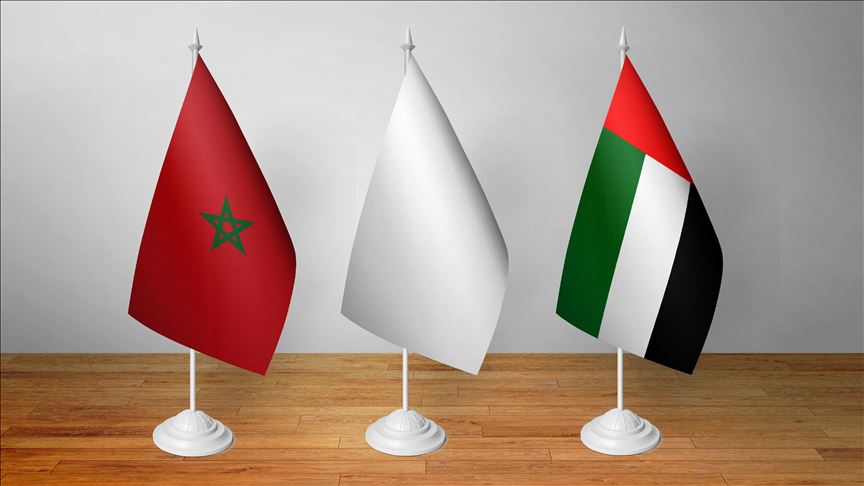 مباحثات مغربية إماراتية في مجال مكافحة الفساد