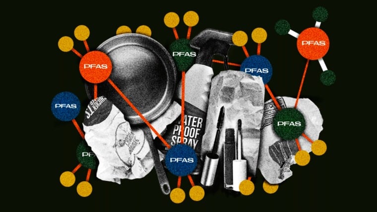 صورة المقالة