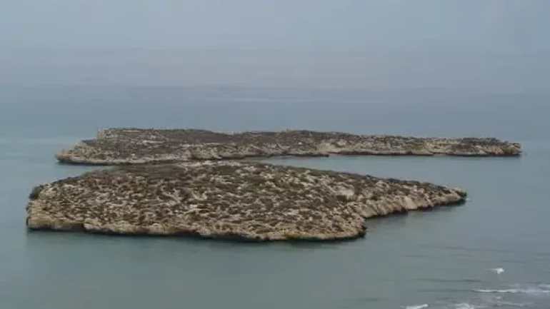 صورة المقالة