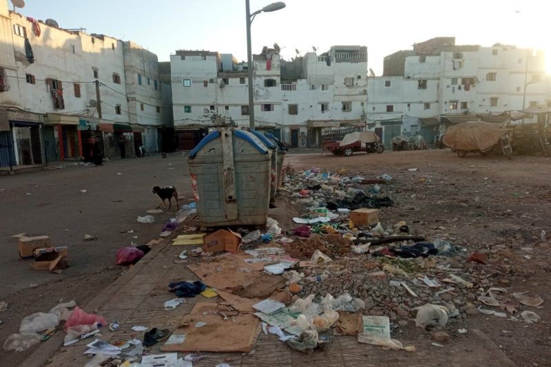 صورة المقالة