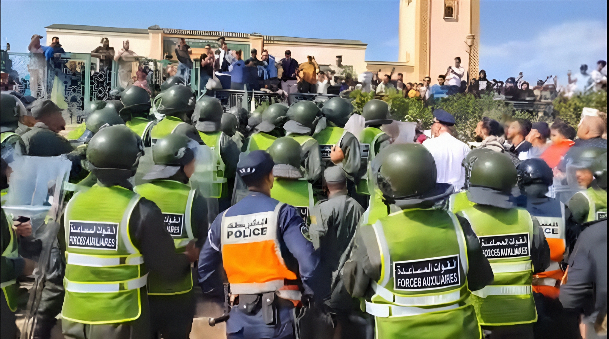 صورة المقالة