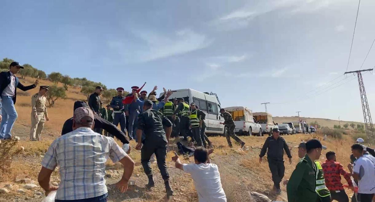 صورة المقالة