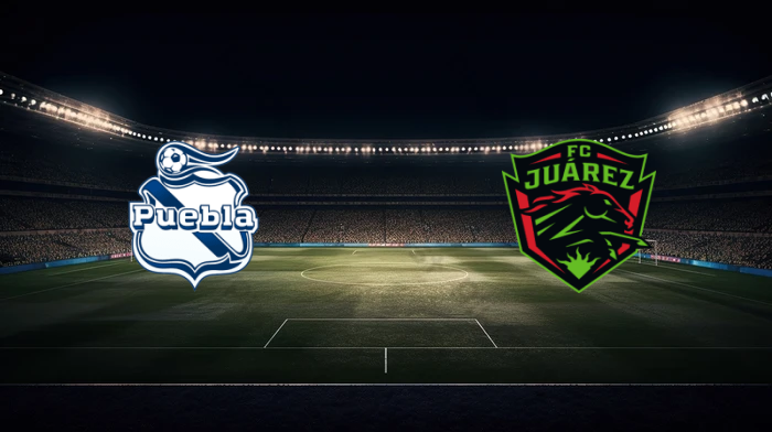 صورة المقالة