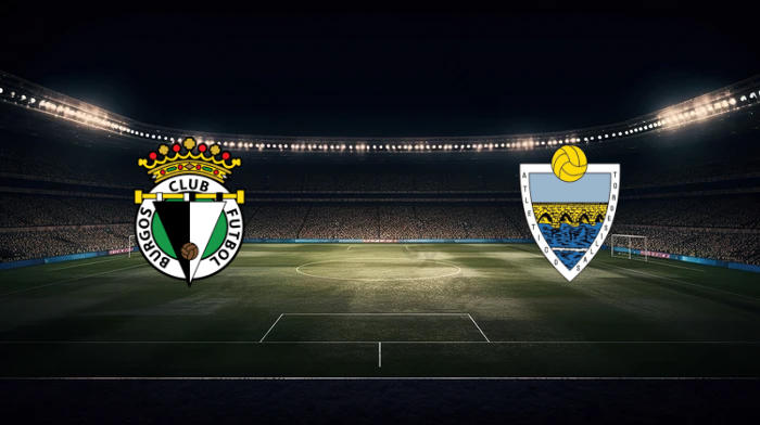 صورة المقالة