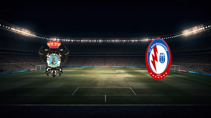 صورة المقالة