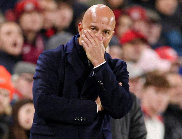 صورة المقالة