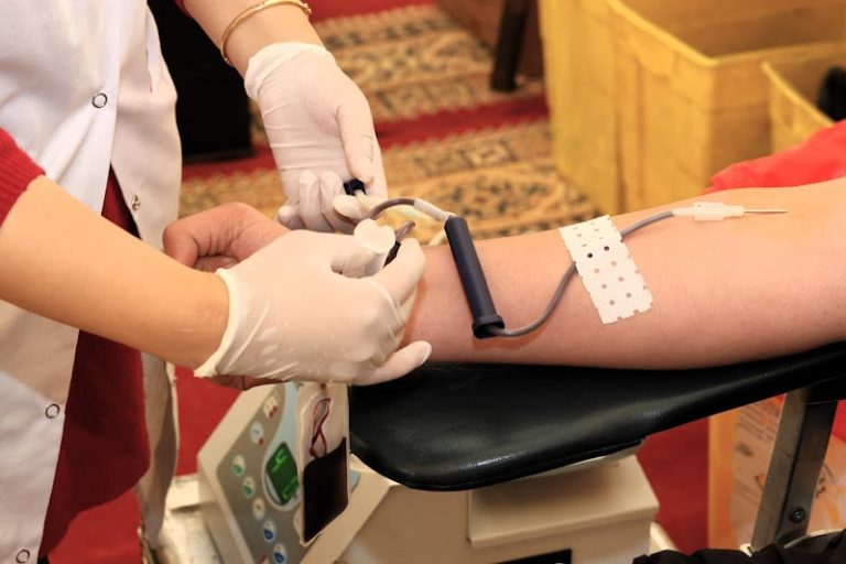 صورة المقالة