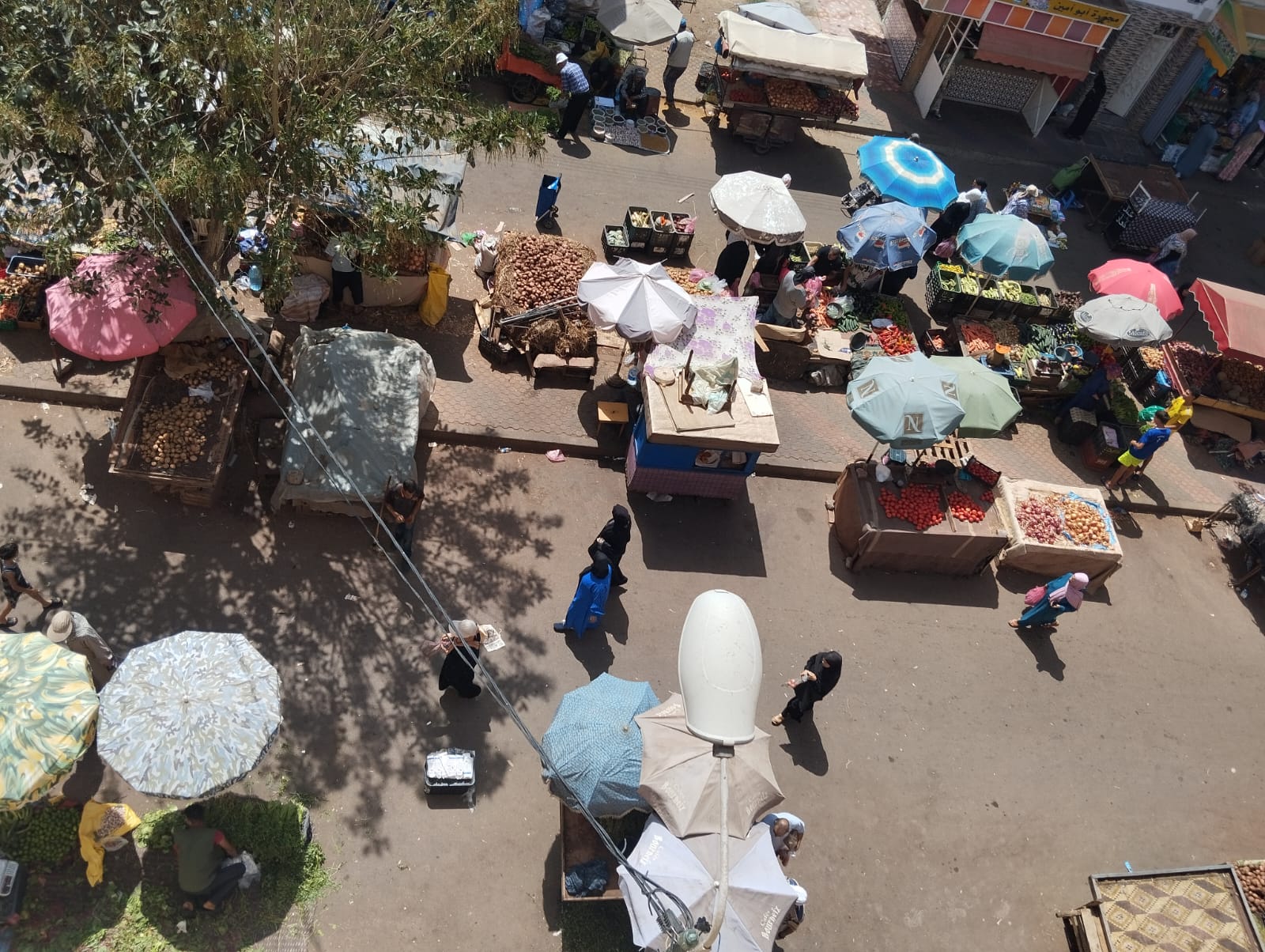 صورة المقالة