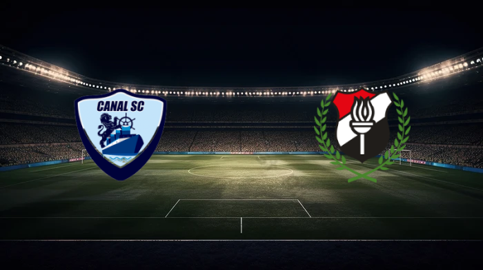 صورة المقالة