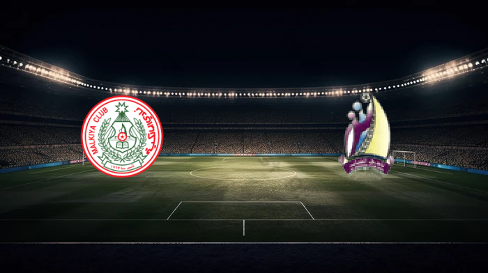 صورة المقالة