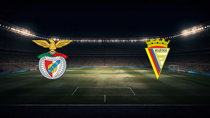 صورة المقالة