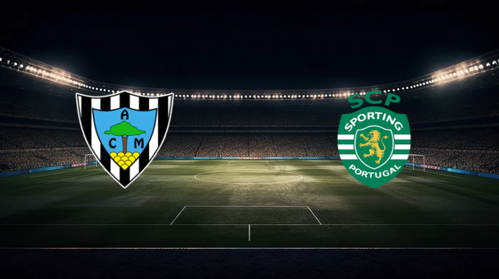 صورة المقالة