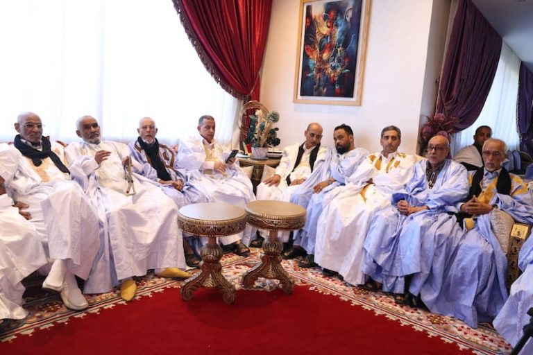 صورة المقالة