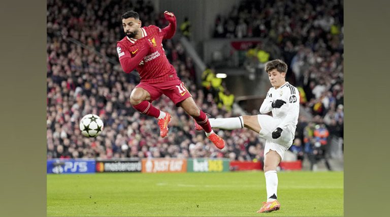 صورة المقالة