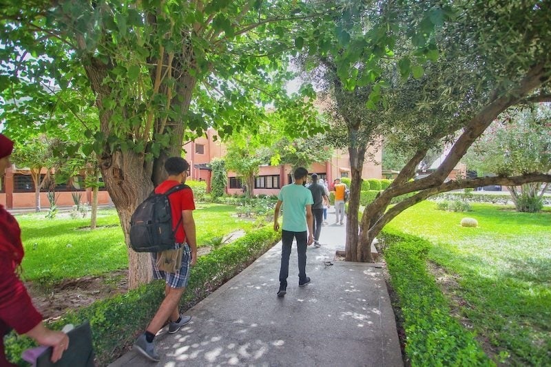 ميداوي يسرع صرف المنح الجامعية: 95% من الطلبة الجدد سيستفيدون