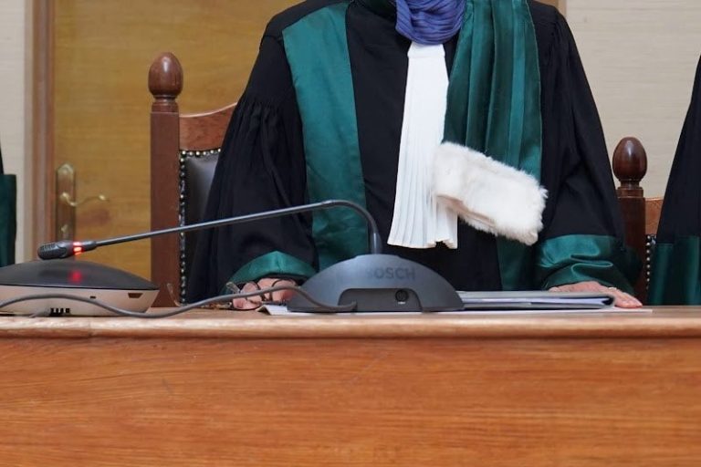 صورة المقالة