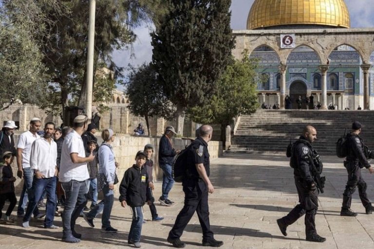 صورة المقالة