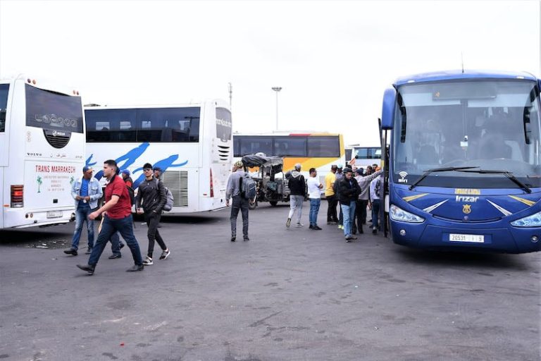 صورة المقالة