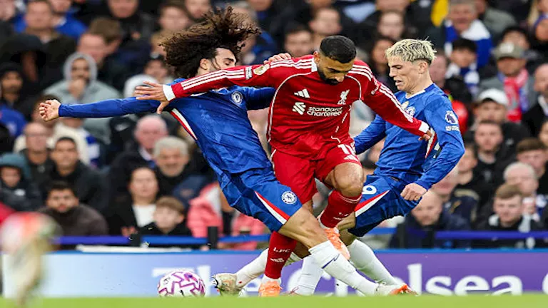 صورة المقالة