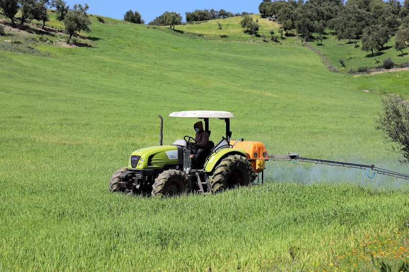 الأمطار تنعش الموسم الفلاحي بالمغرب: آمال الفلاحين وتحديات المناخ