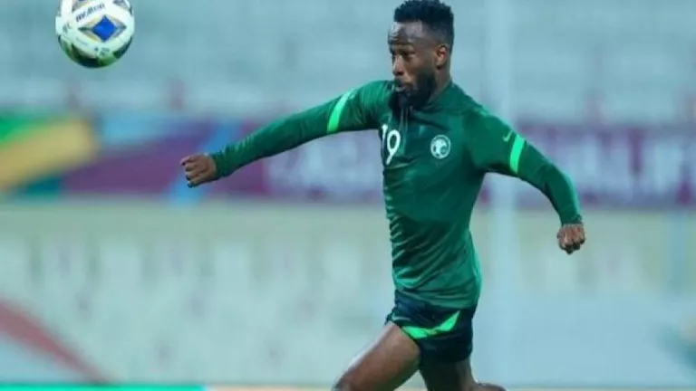 صورة المقالة