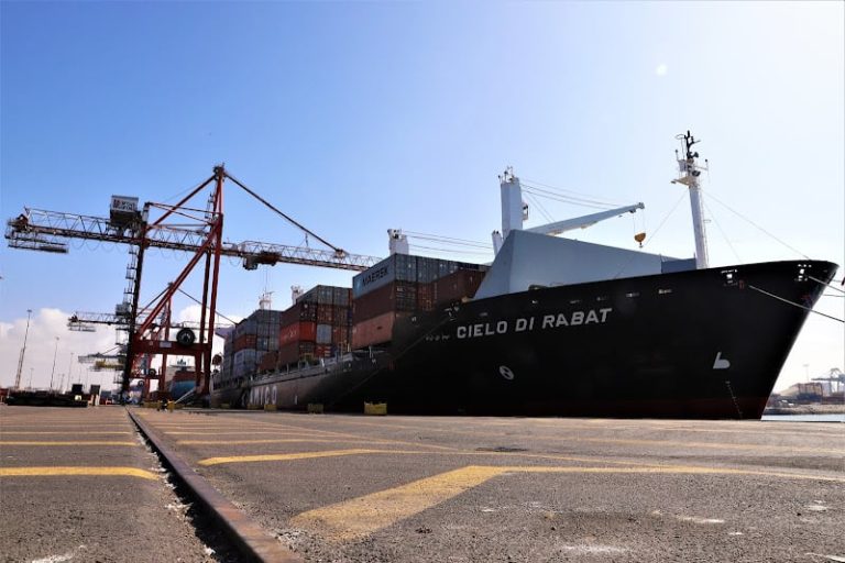 صورة المقالة