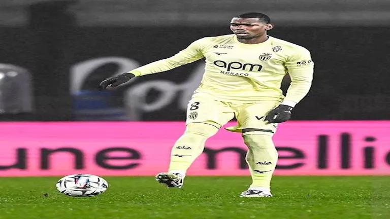 صورة المقالة