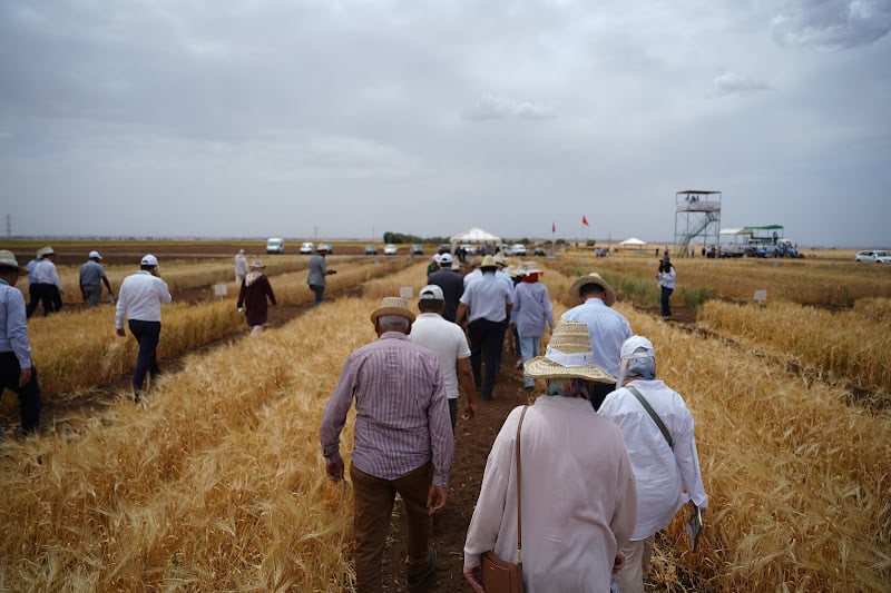 مطلب حيوي: موزعو المدخلات الفلاحية بالمغرب يطالبون بتمديد آجال الأداء إلى 180 يوماً