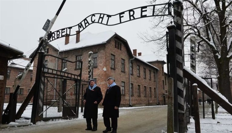 صورة المقالة