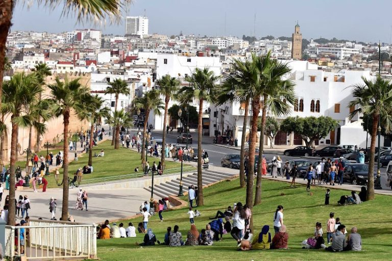 صورة المقالة