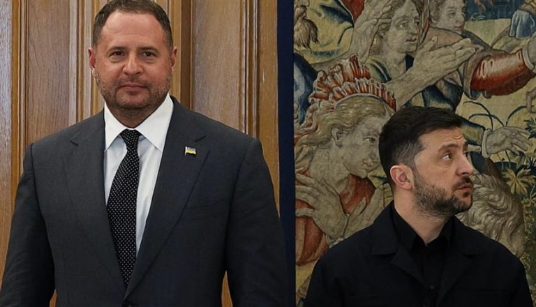 صورة المقالة