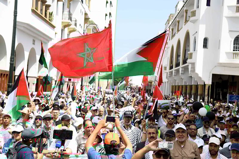 صورة المقالة