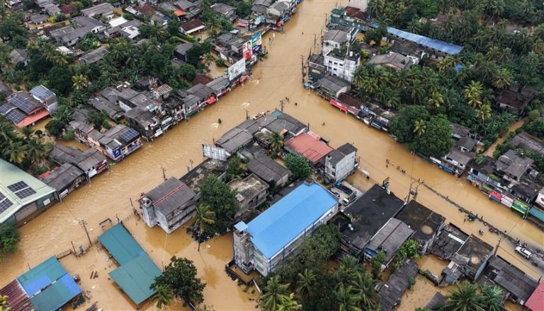 صورة المقالة