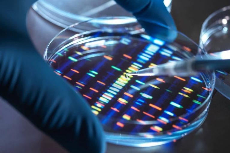 صورة المقالة