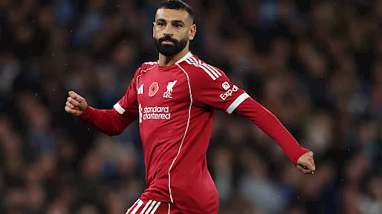 صورة المقالة