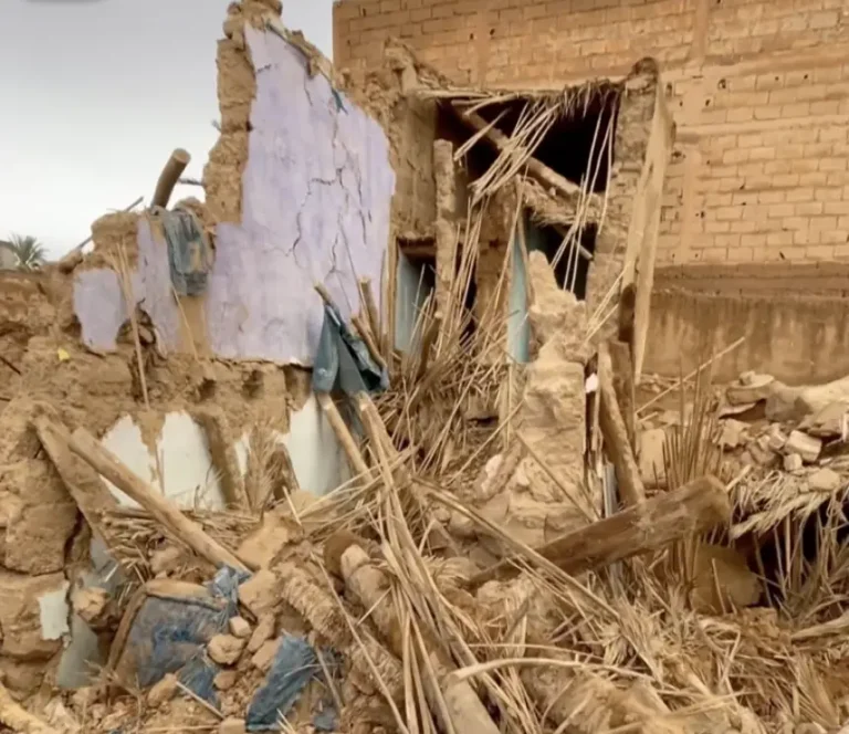 صورة المقالة