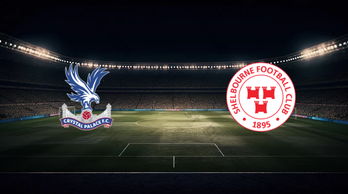 صورة المقالة