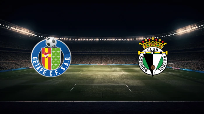 صورة المقالة