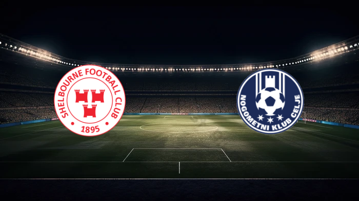 صورة المقالة