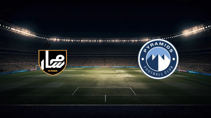 صورة المقالة