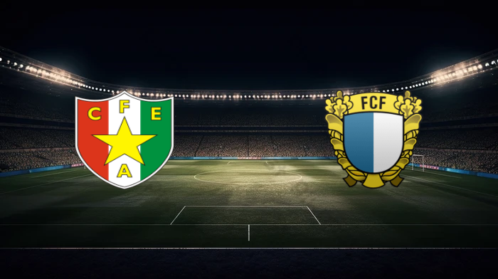 صورة المقالة