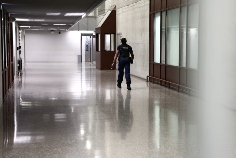 صورة المقالة