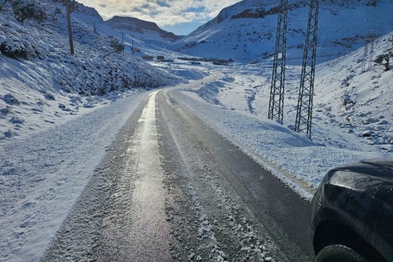 صورة المقالة