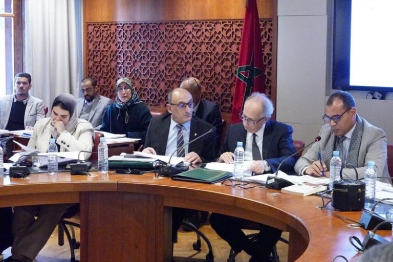 صورة المقالة