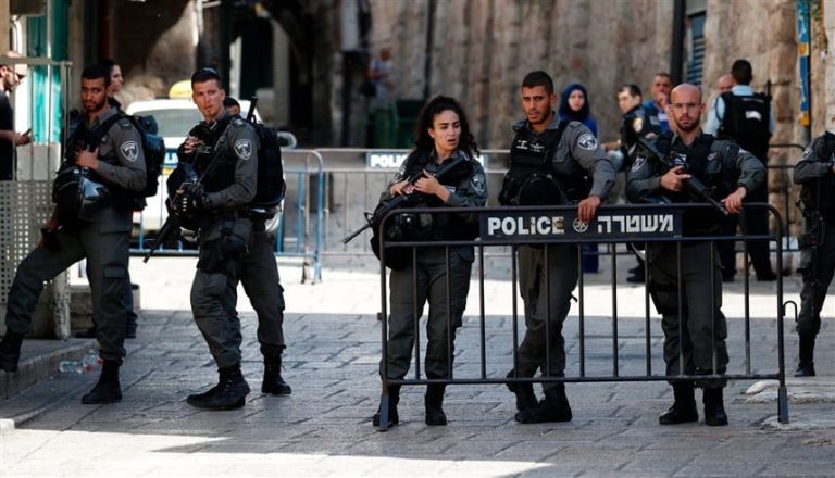 صورة المقالة