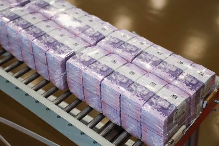 صورة المقالة