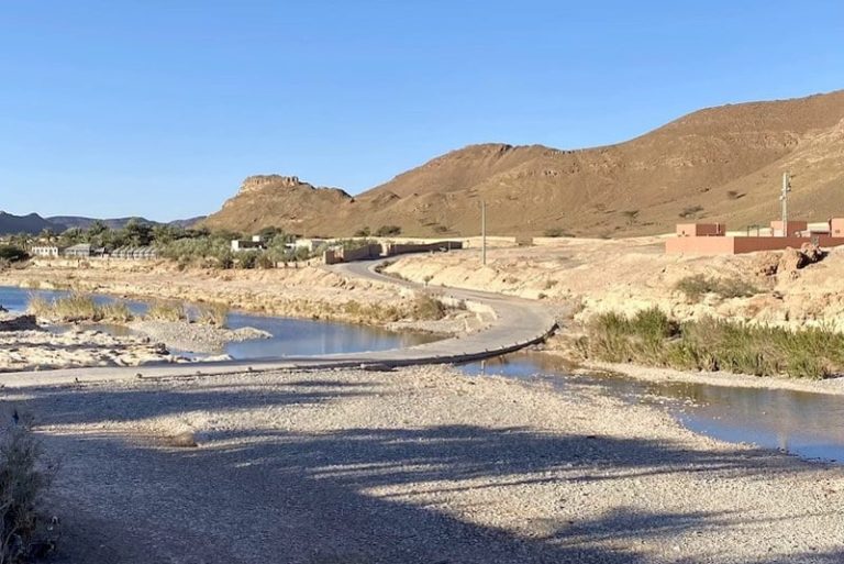 صورة المقالة