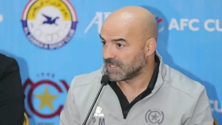 صورة المقالة